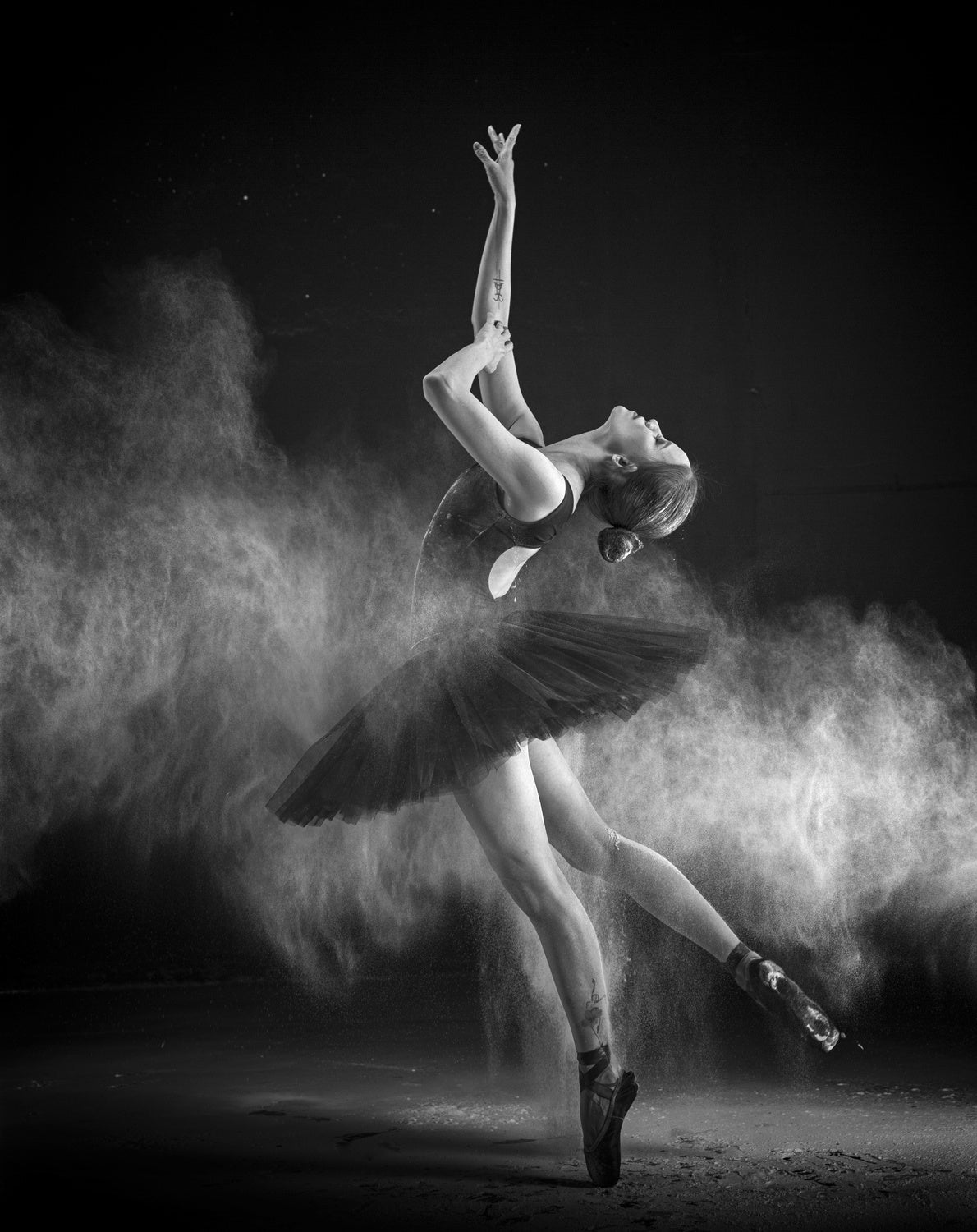 Ballerina Poster och Canvastavla
