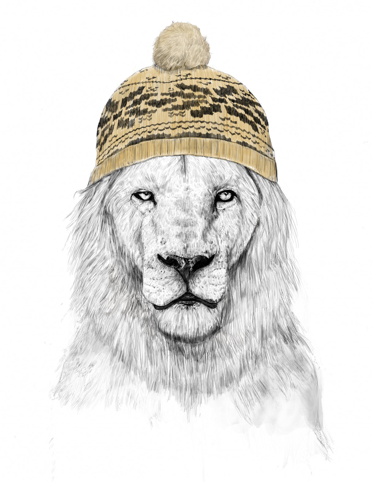Winter Lion Poster och Canvastavla
