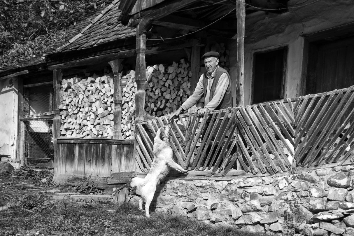 Dog-fancier Poster och Canvastavla