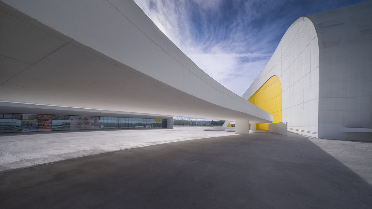 Niemeyer Poster och Canvastavla