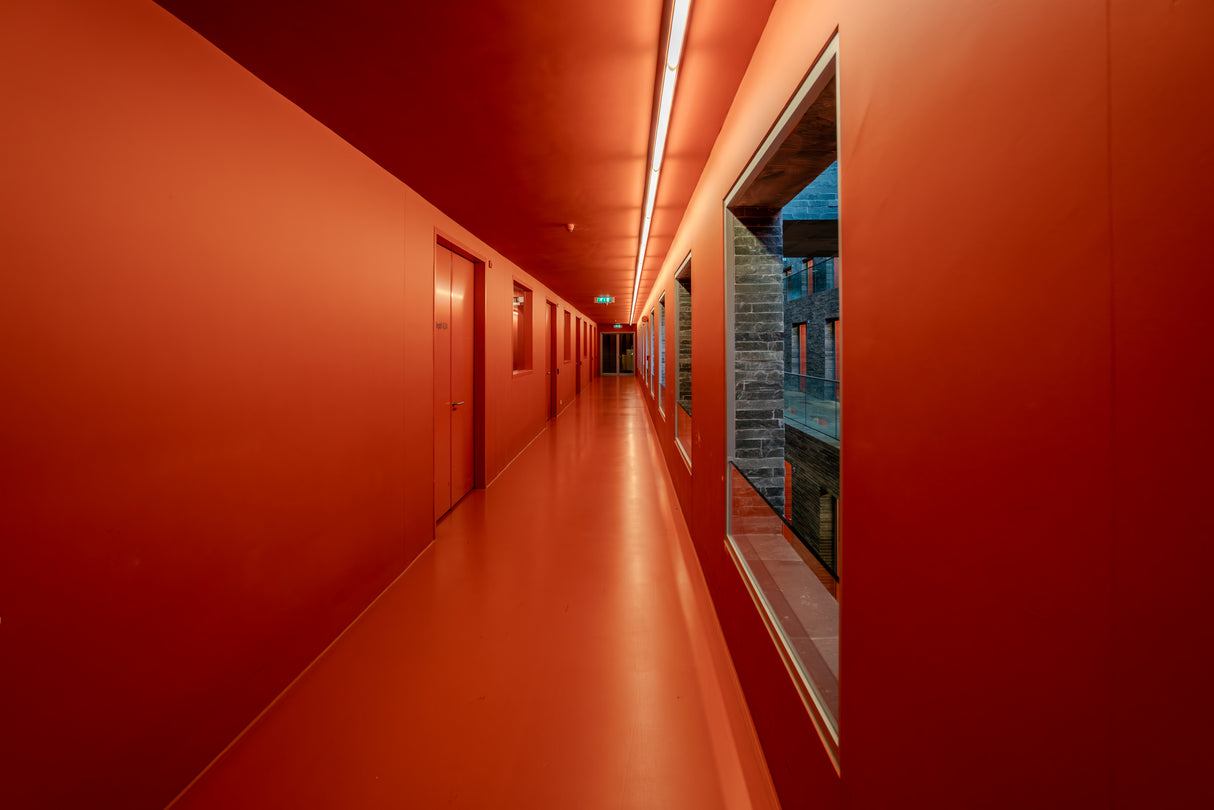 The hallway Poster och Canvastavla