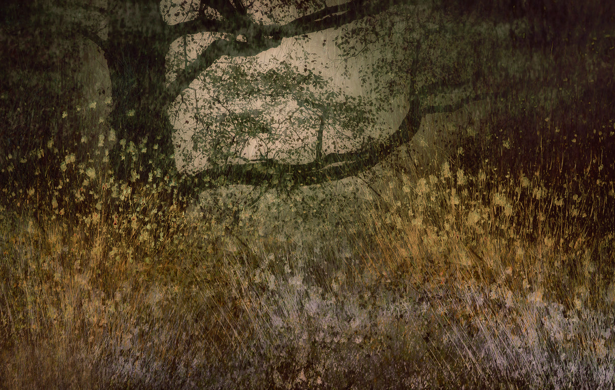 Autumn is coming Poster och Canvastavla