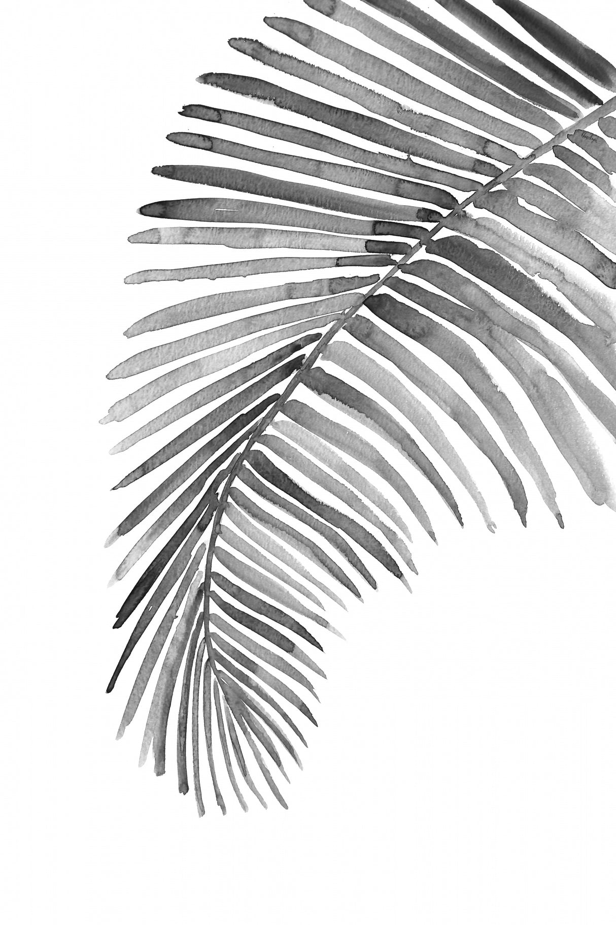 Palm leaf in loose watercolor bw Poster och Canvastavla