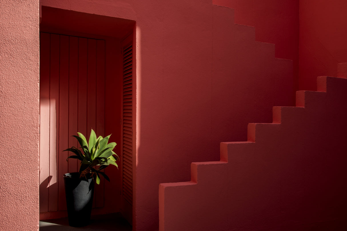 Muralla Roja #6 Poster och Canvastavla