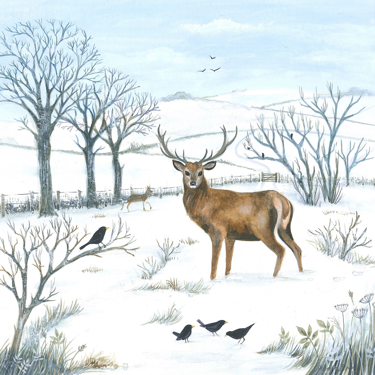 Winter Stag Poster och Canvastavla