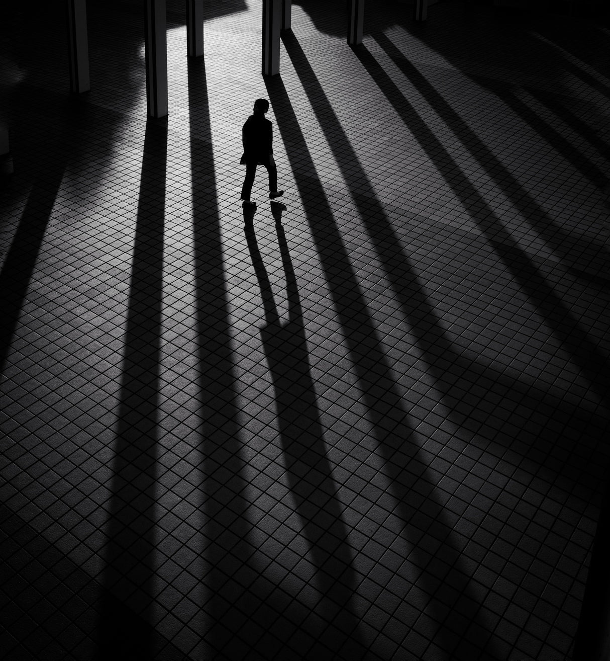 Shadows Poster och Canvastavla
