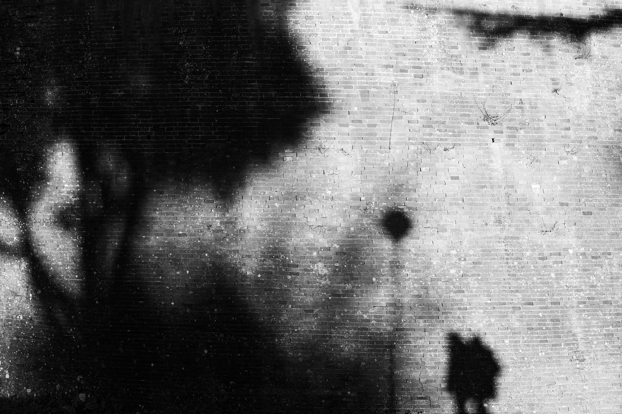 shadows Poster och Canvastavla