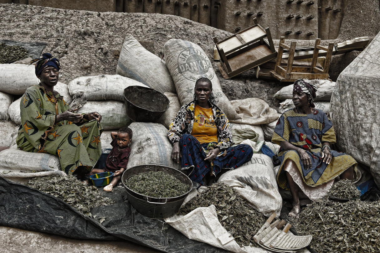 Selling in the market (Djenné - Mali) Poster och Canvastavla