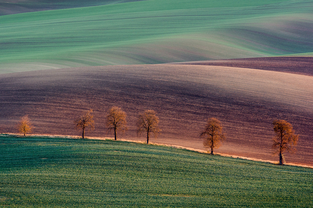 Moravian landscape Poster och Canvastavla