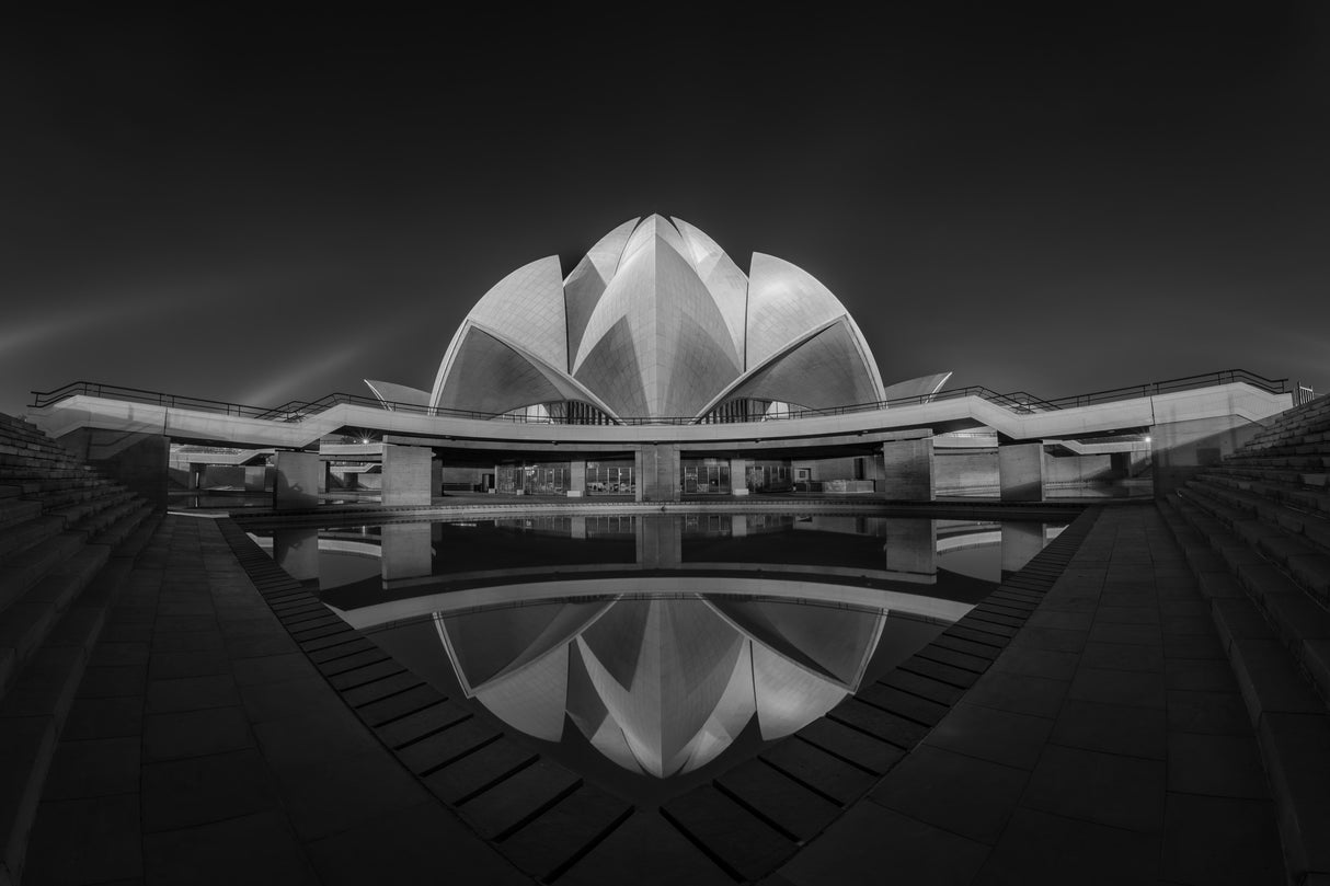 "The Lotus" Poster och Canvastavla