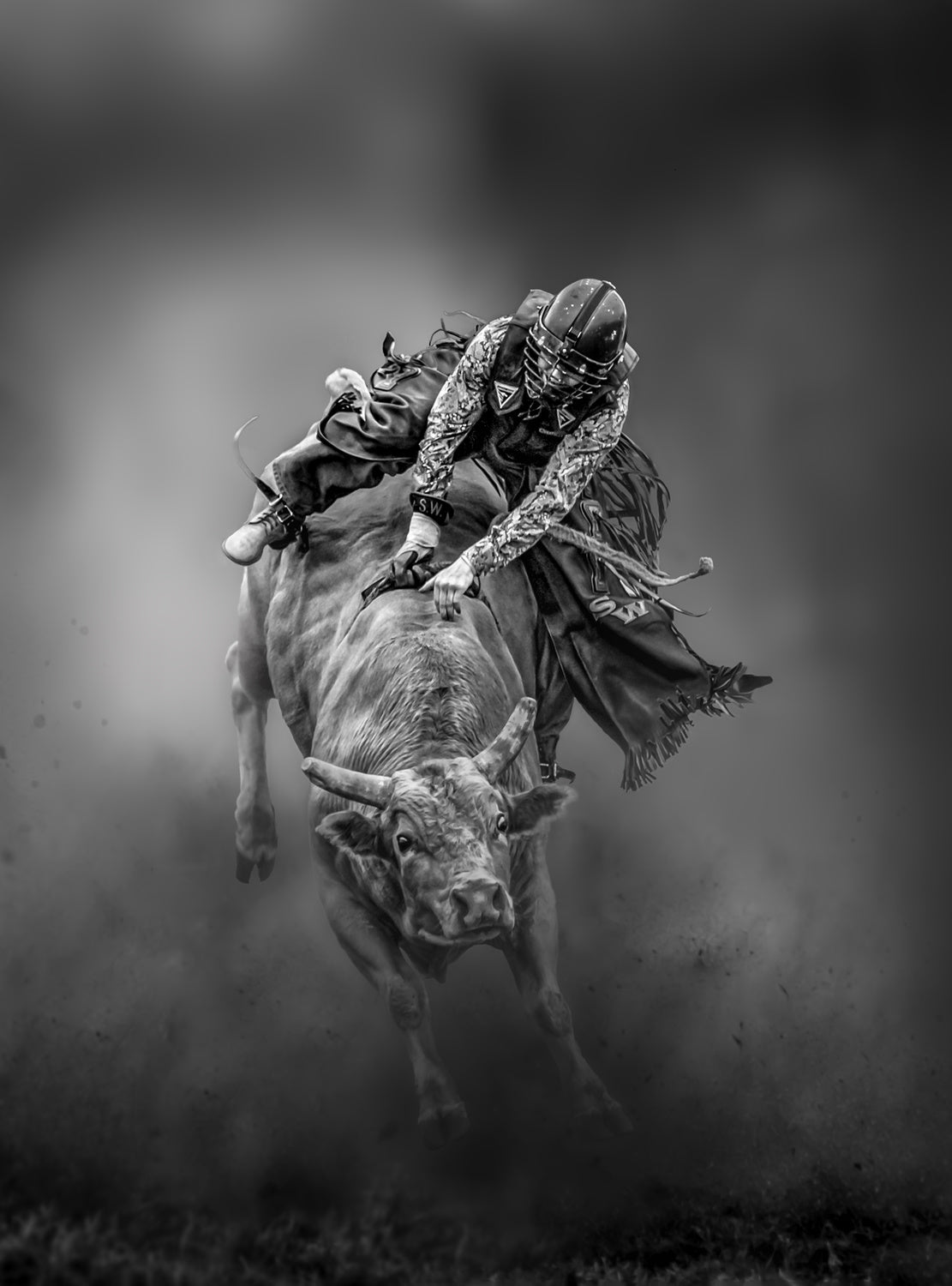 The Warrior Poster och Canvastavla