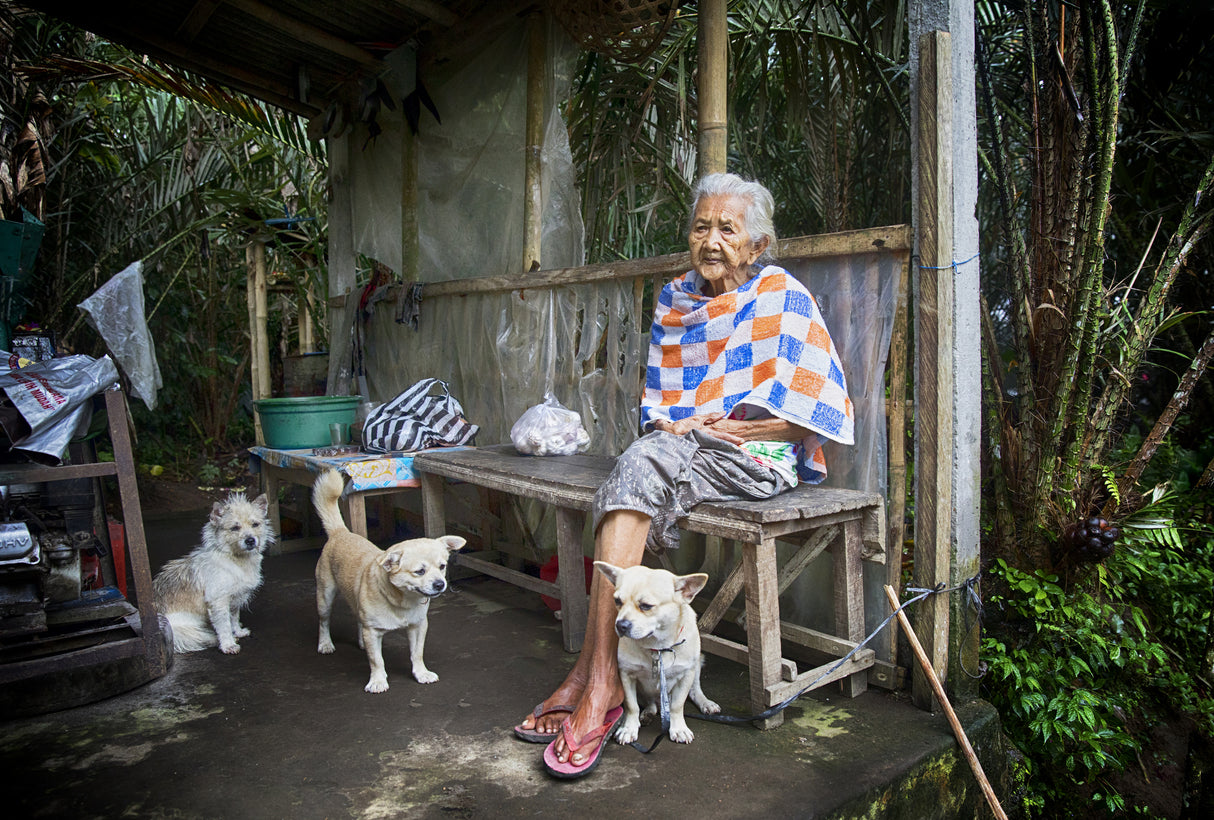Old Lady and 3 dogs Poster och Canvastavla
