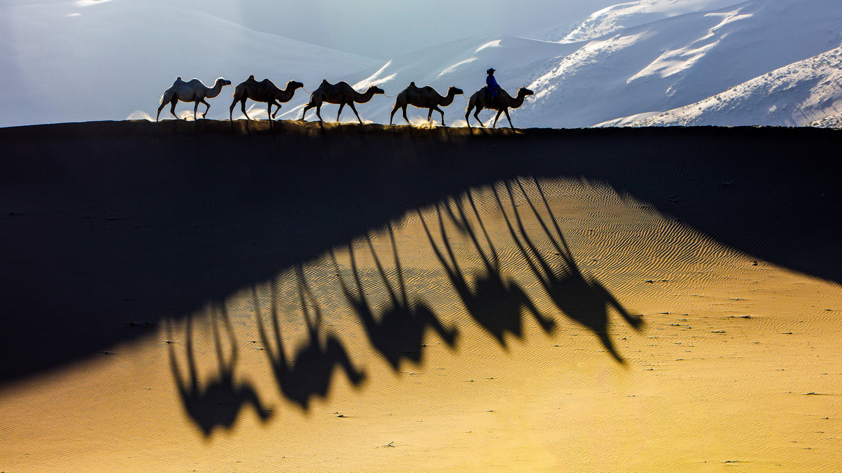 Desert Poster och Canvastavla