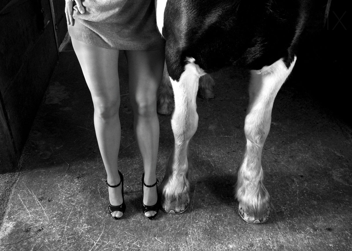 to cool one's heels Poster och Canvastavla