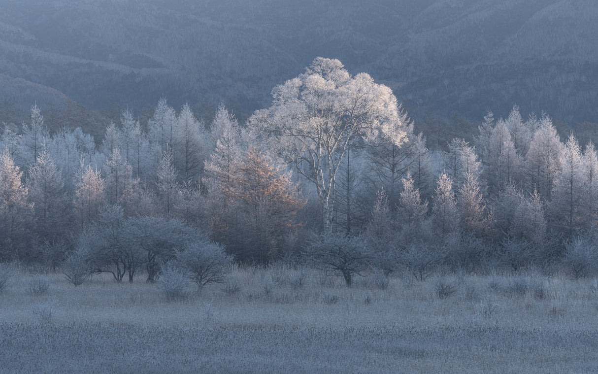 Autumn and winter in close proximity Poster och Canvastavla