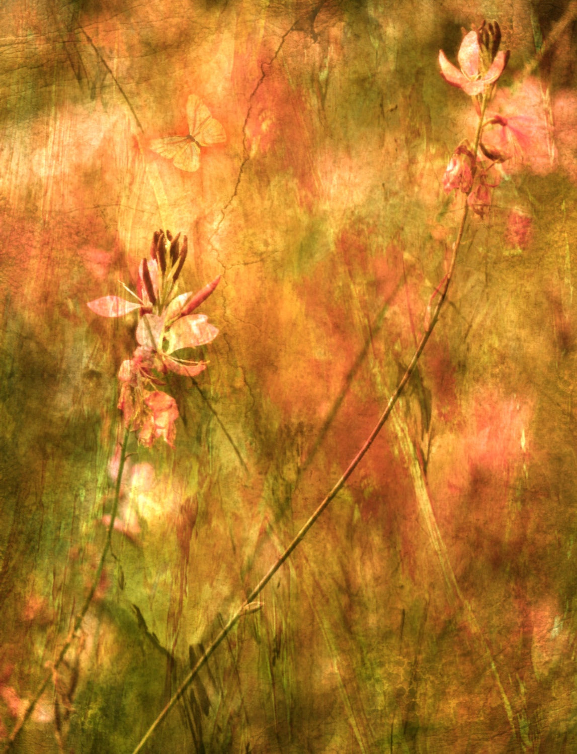 A Contemplation Upon Flowers Poster och Canvastavla