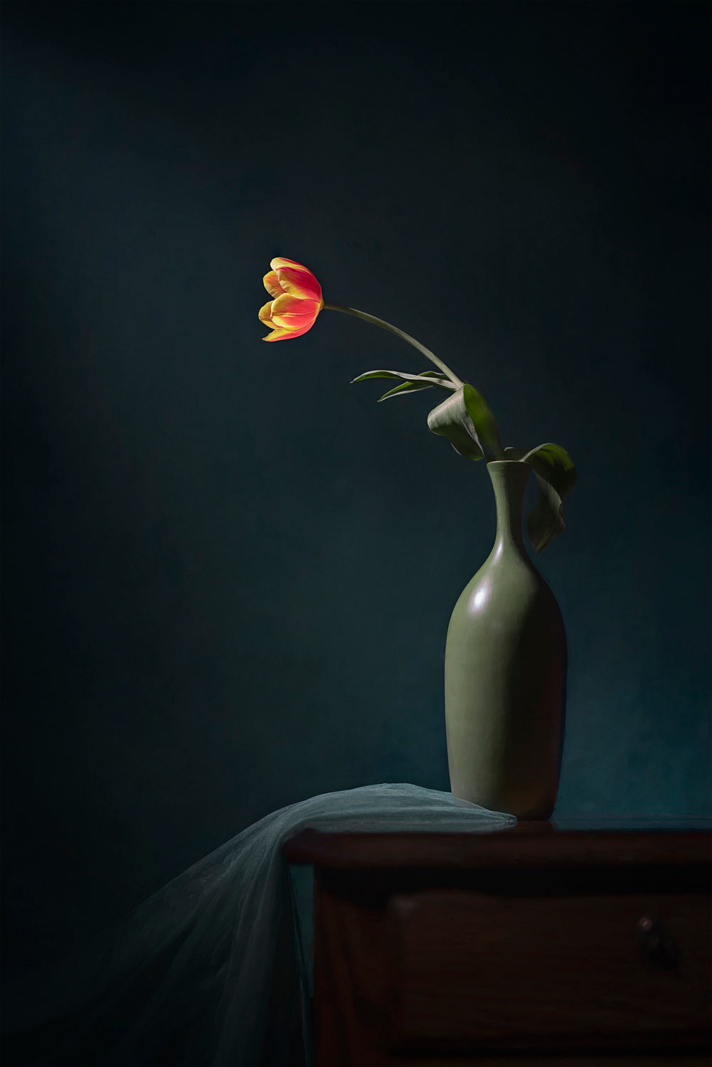 A Orange Tulip Poster och Canvastavla