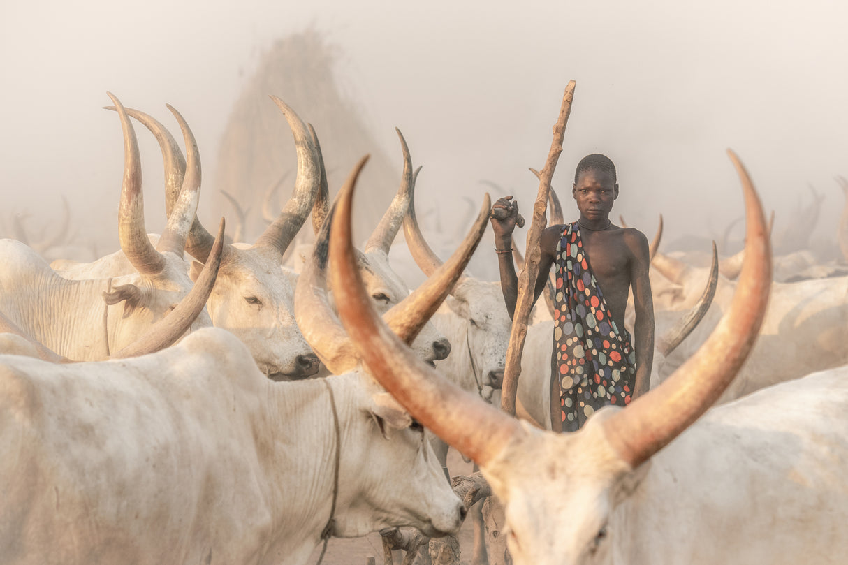 Framed Mundari herder Poster och Canvastavla