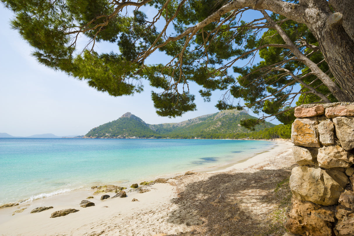 Beach Vacation Poster och Canvastavla