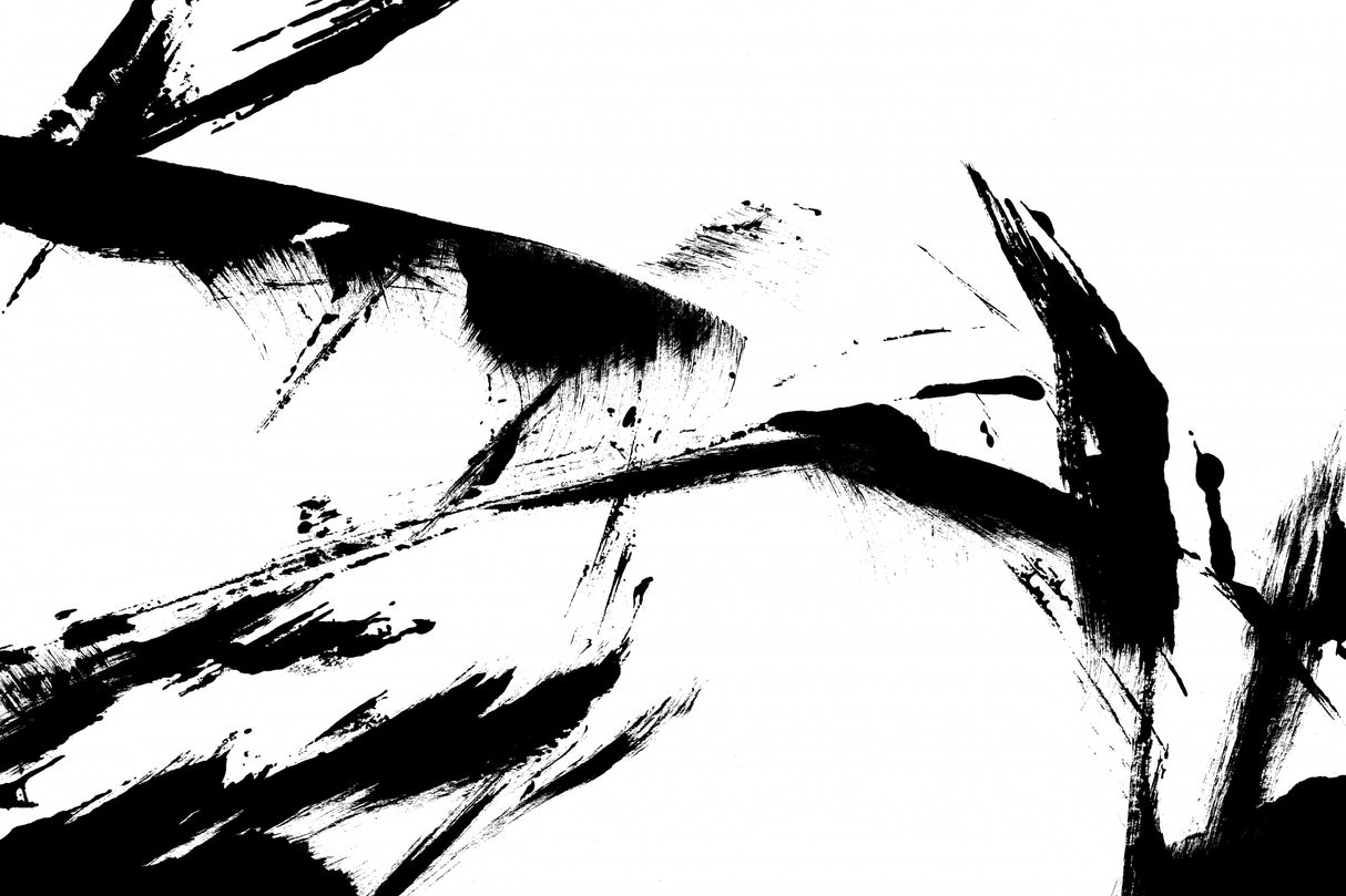 Feathery Streak Poster och Canvastavla