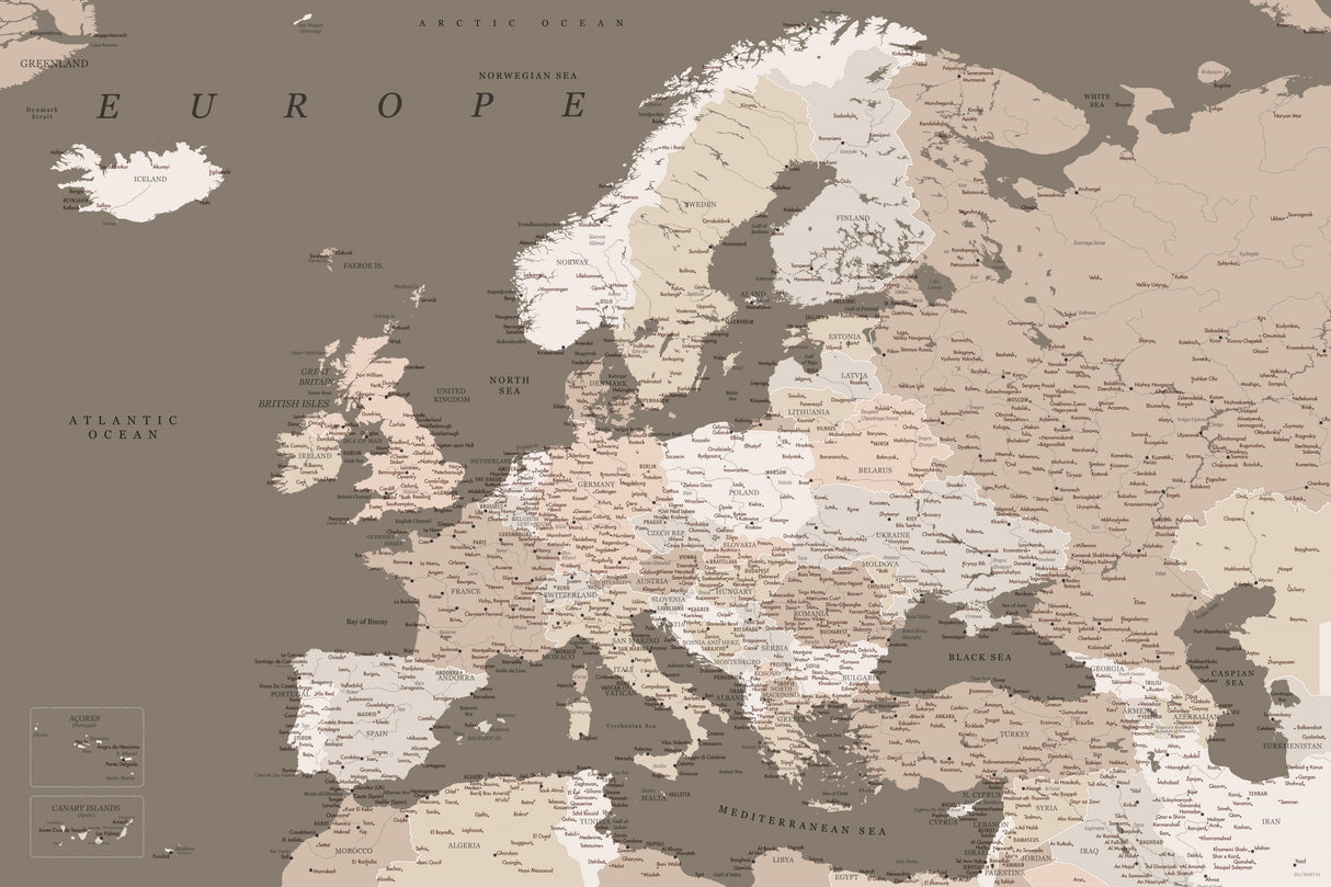 Earth tones detailed map of Europe Poster och Canvastavla