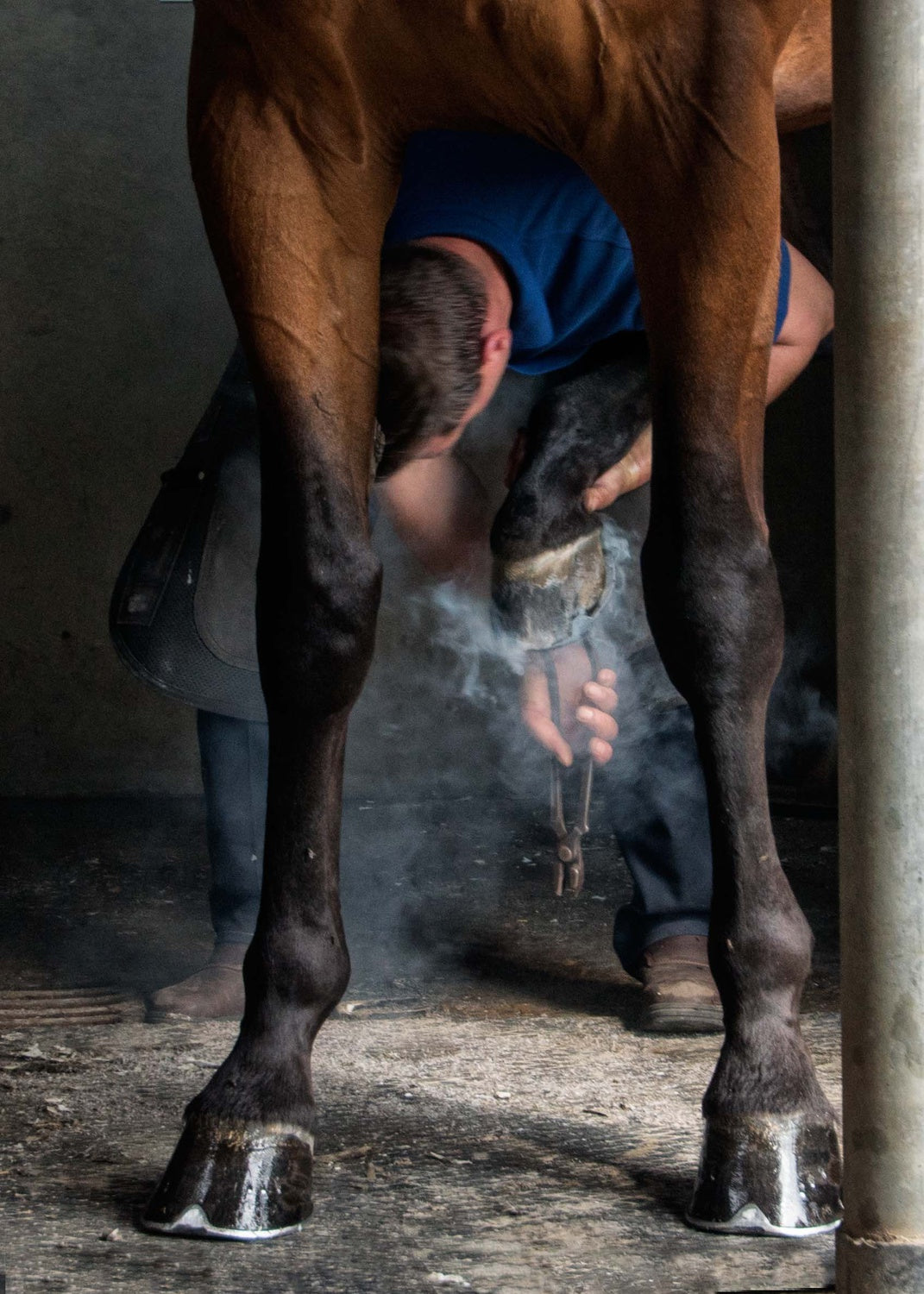 Fitting the Horseshoe Poster och Canvastavla