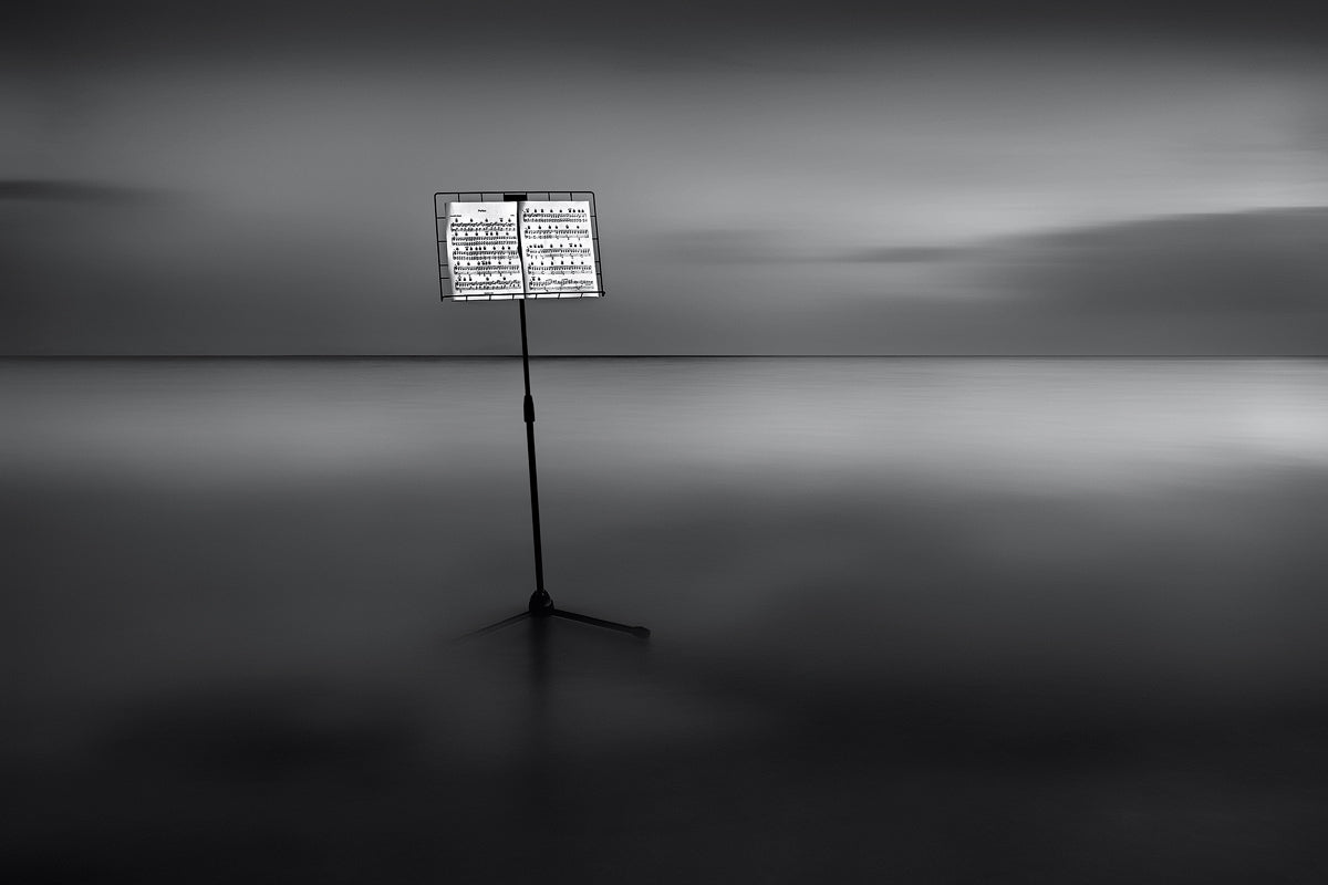 Water Music (Η Μουσική των Υδάτων) Poster och Canvastavla