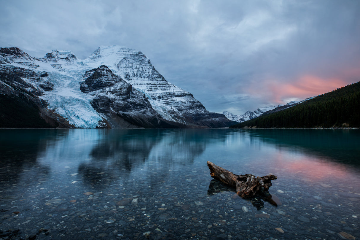 Mount Robson Poster och Canvastavla