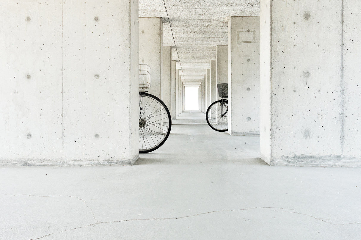 white basket,black basket Poster och Canvastavla
