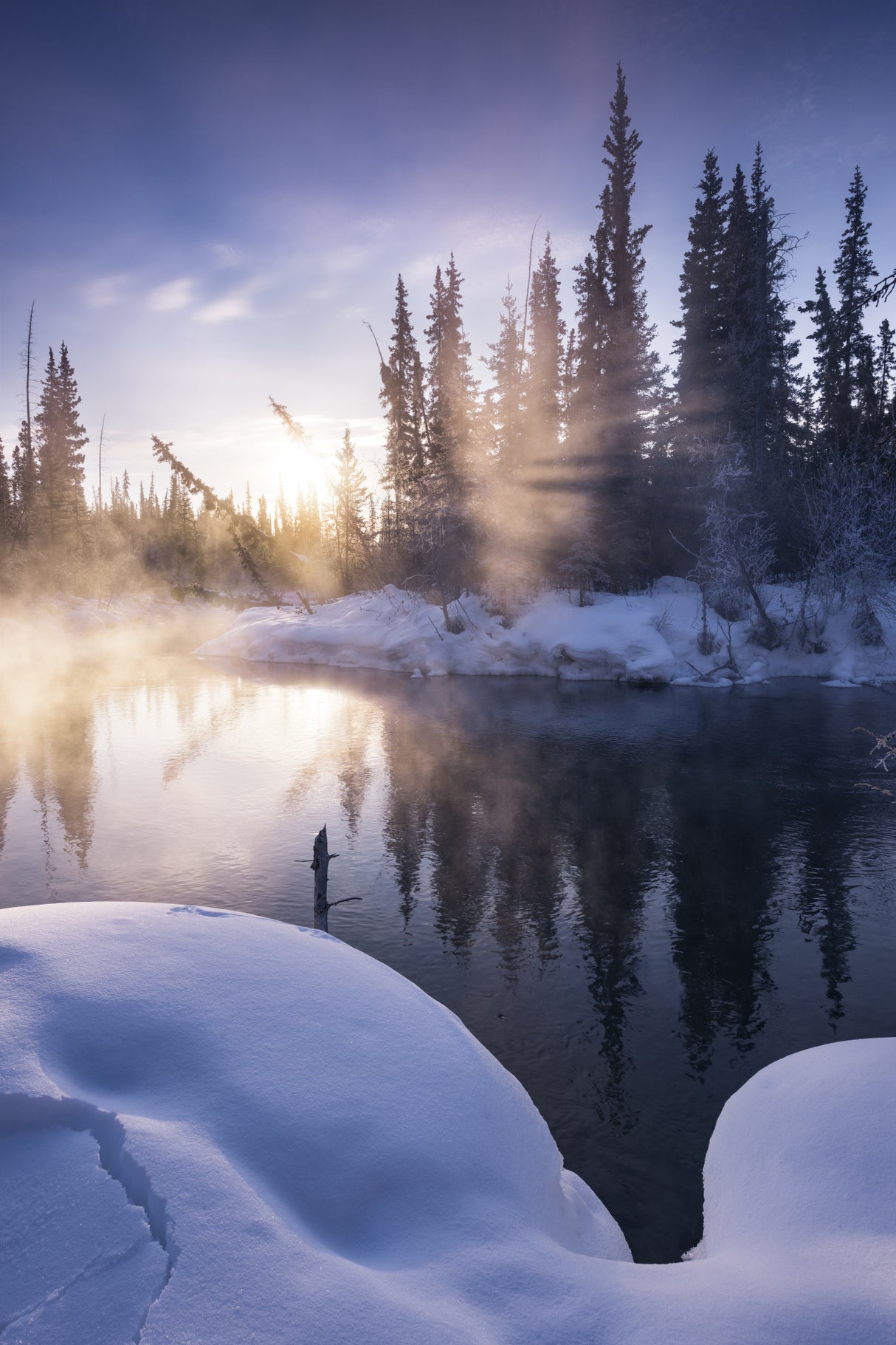 Alaskan Winter Poster och Canvastavla