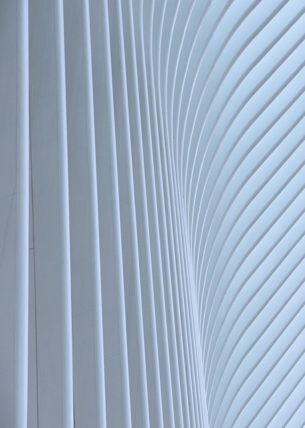 Silver lines Poster och Canvastavla