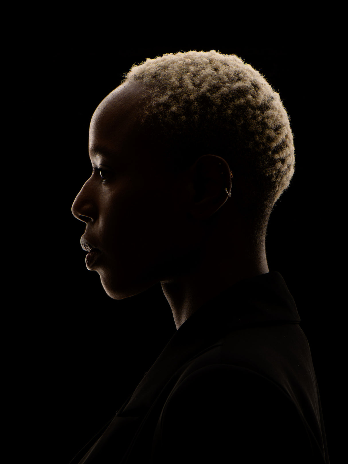 Bridget Poster och Canvastavla