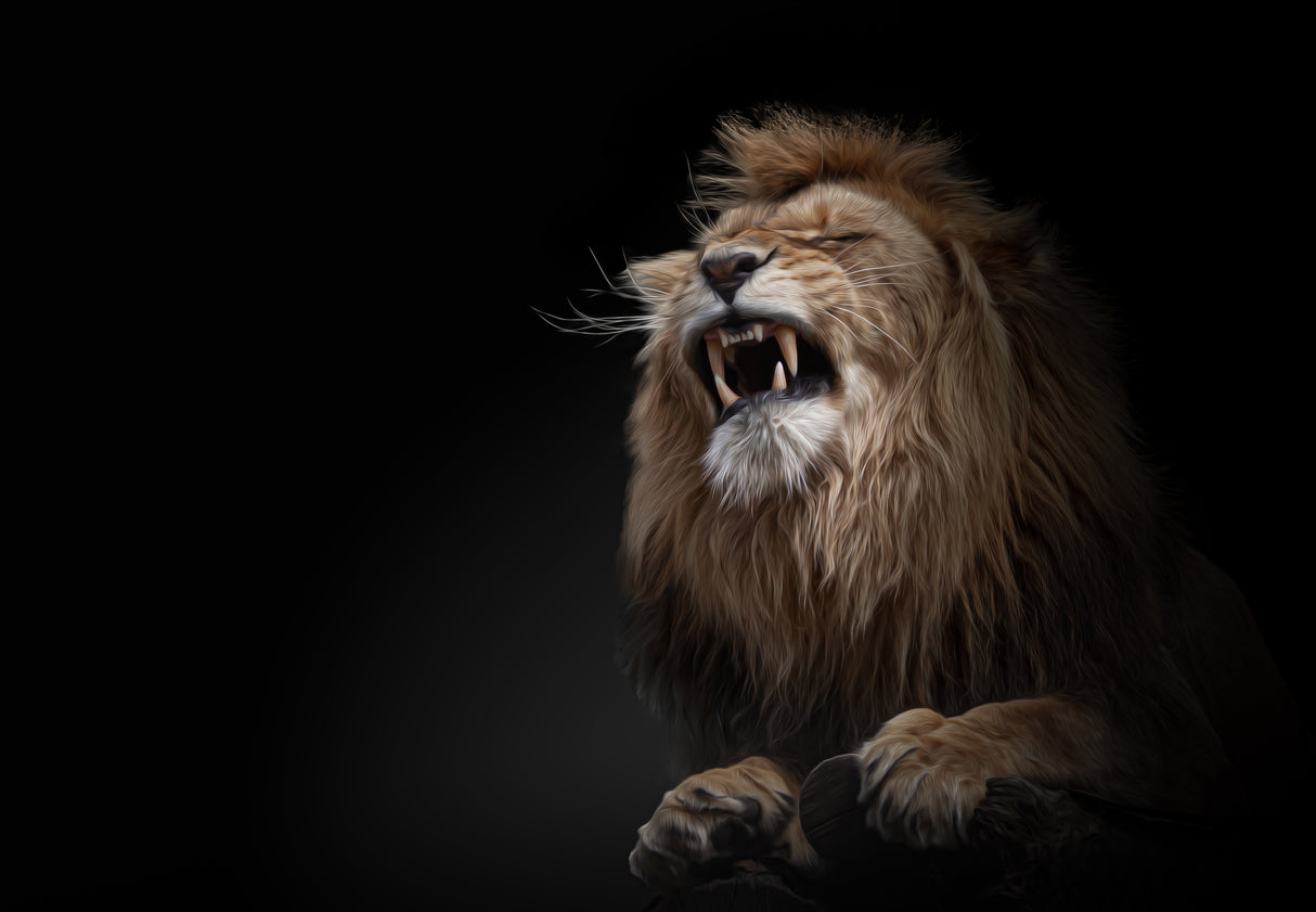 ... roar Poster och Canvastavla