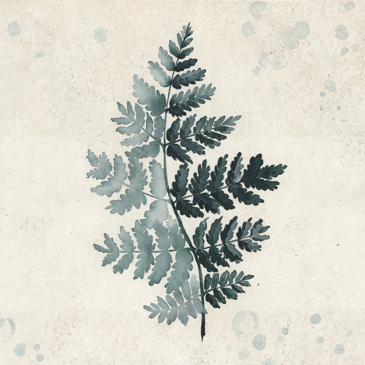 Teal watercolor fern 2 Poster och Canvastavla