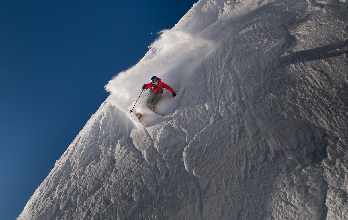 Life at the top Poster och Canvastavla
