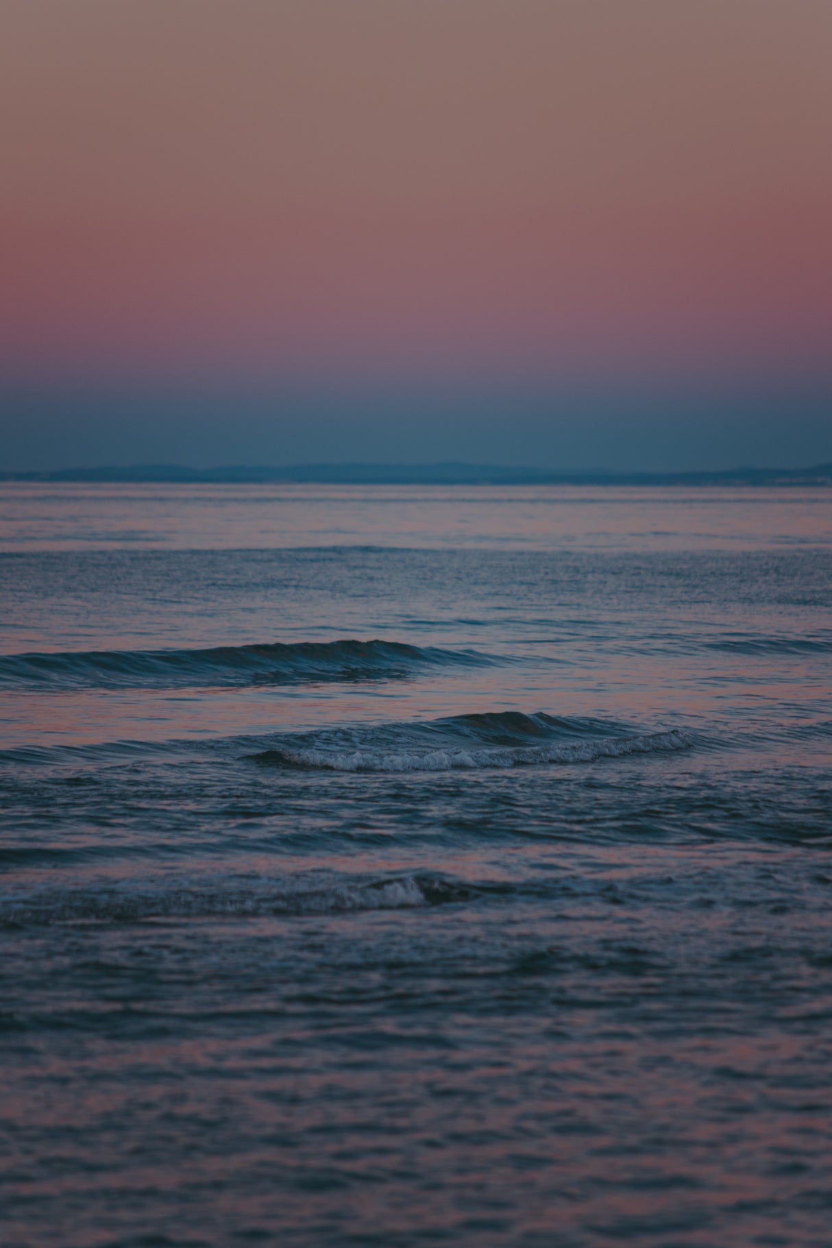 Sunset Wave Poster och Canvastavla