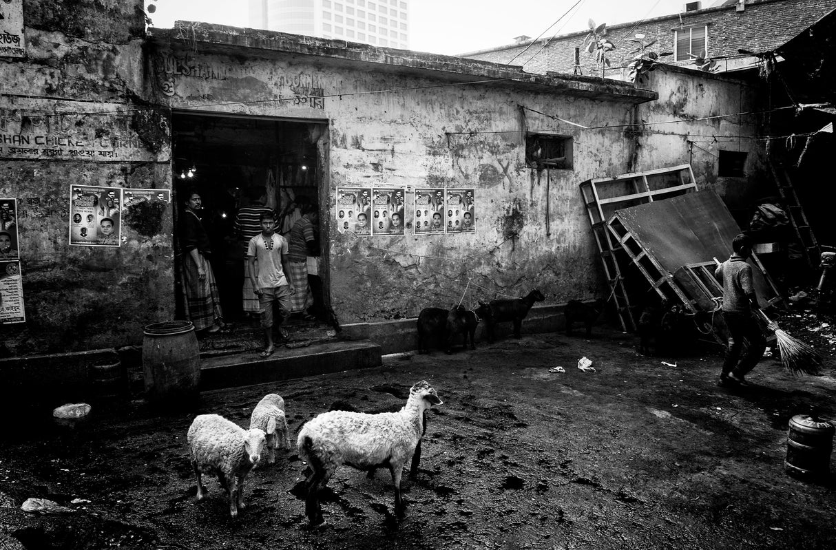 Back of a market in Dakha - Bangladesh Poster och Canvastavla