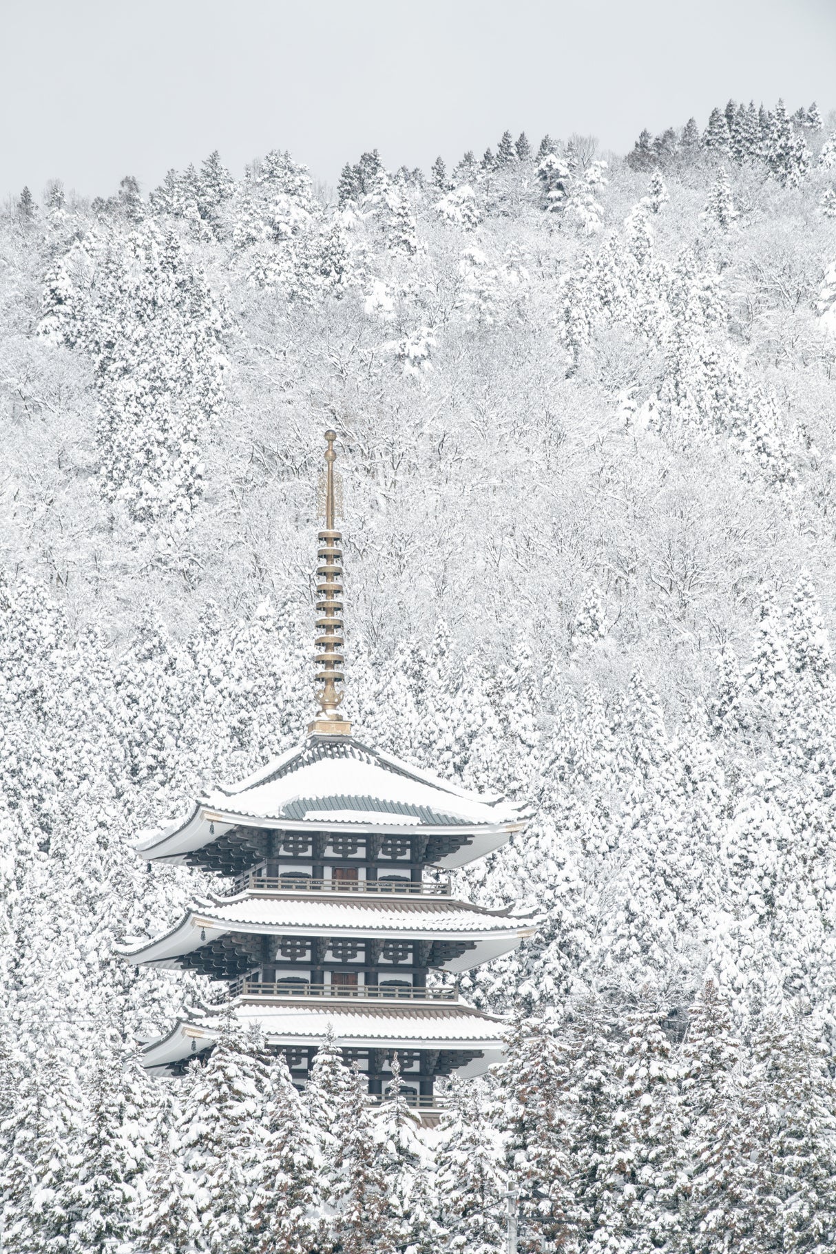 Tower of Winter Poster och Canvastavla