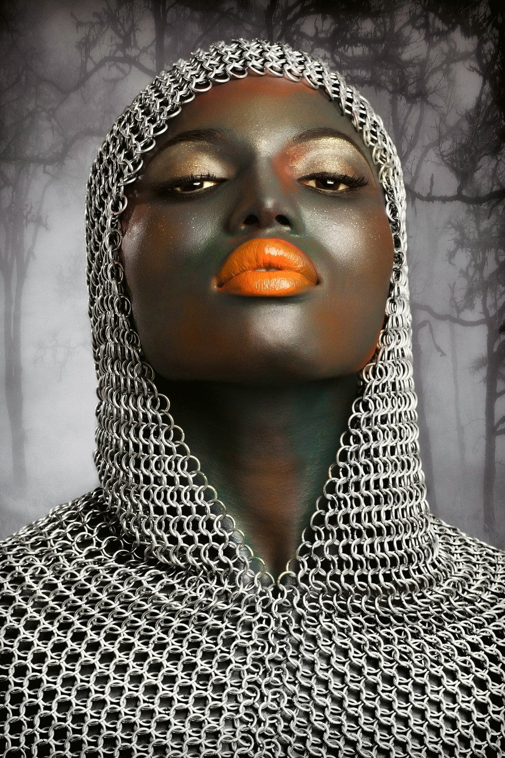 The Warrior Poster och Canvastavla