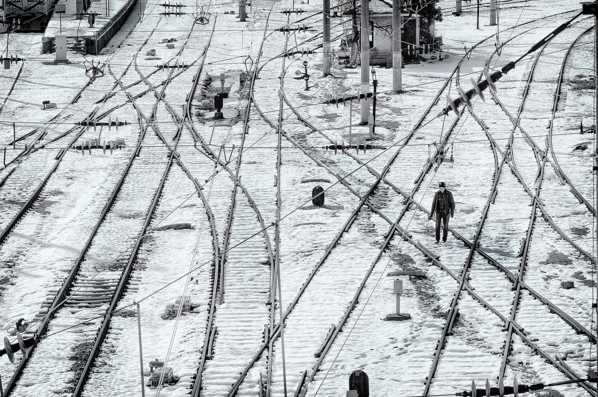 Along the rails Poster och Canvastavla