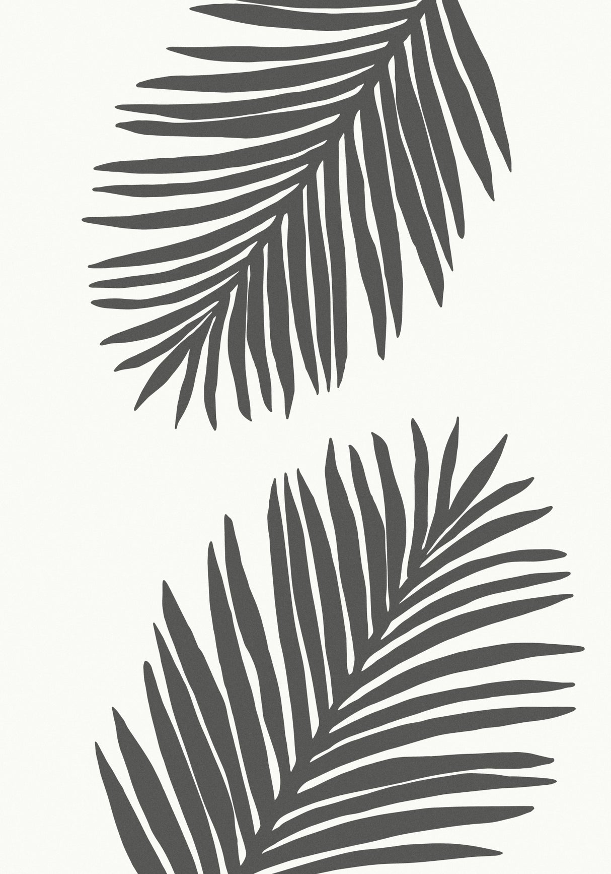 PALM LEAF 12 GRAPHITE GRAY Poster och Canvastavla