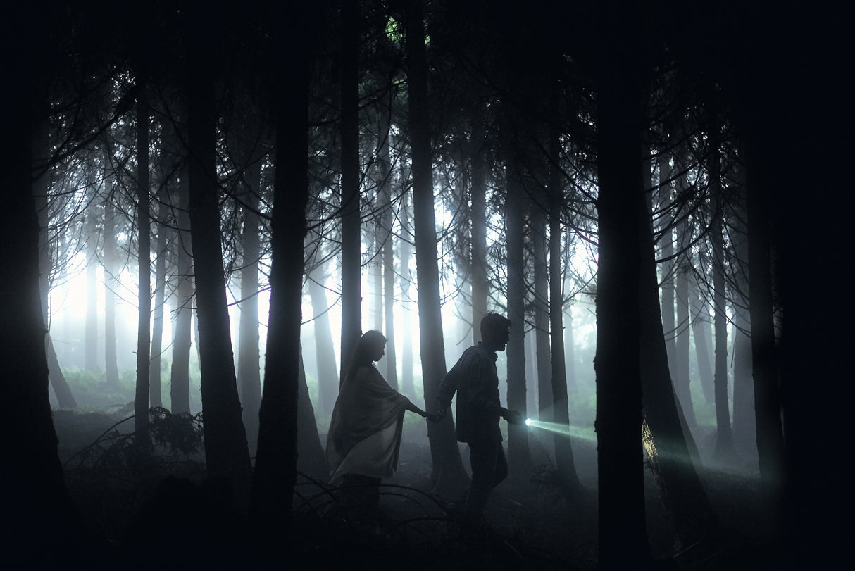 Dark forest Poster och Canvastavla