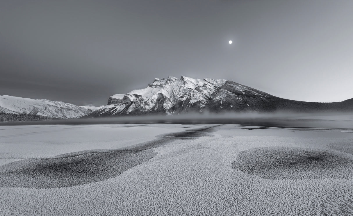 Cold moon Poster och Canvastavla