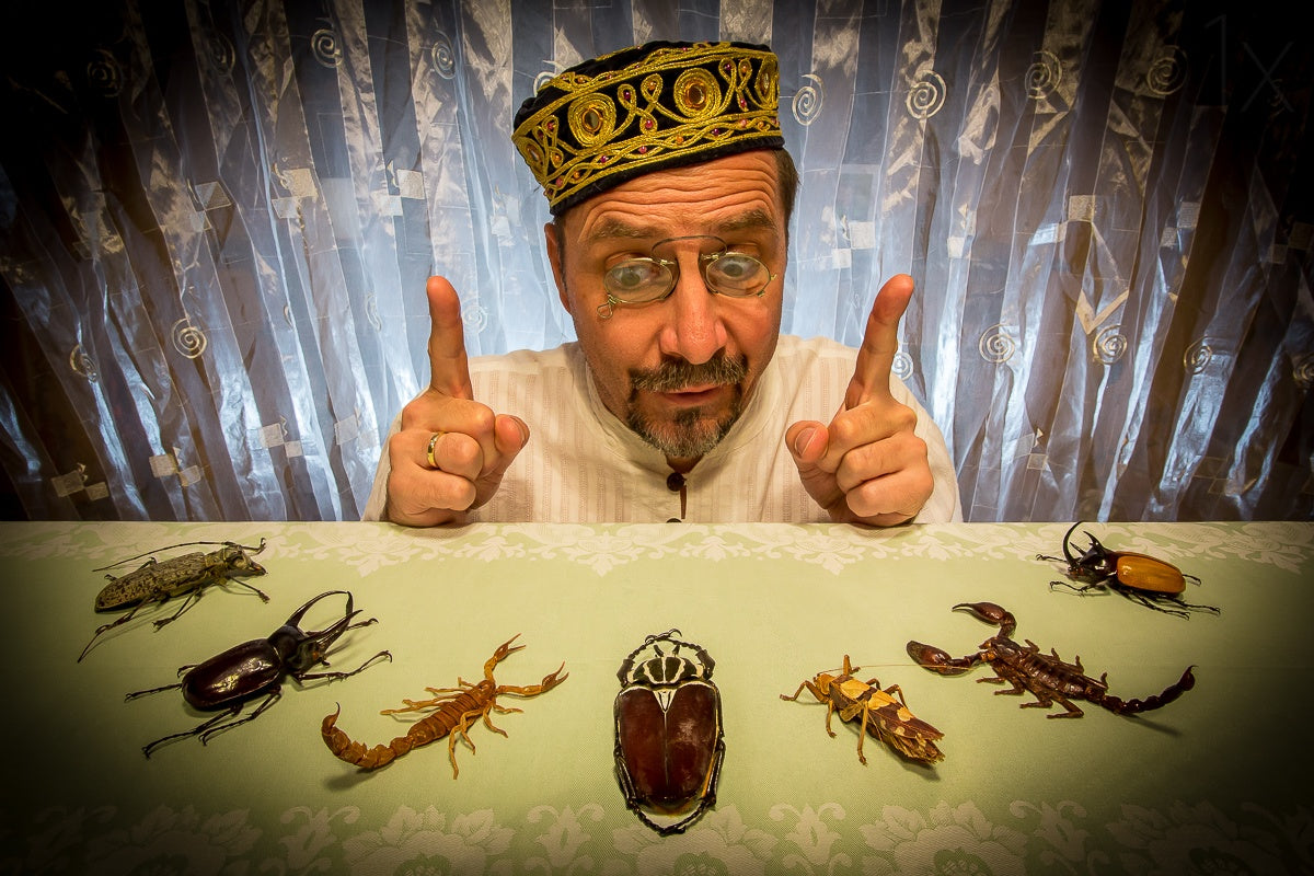 insect whisperer Poster och Canvastavla