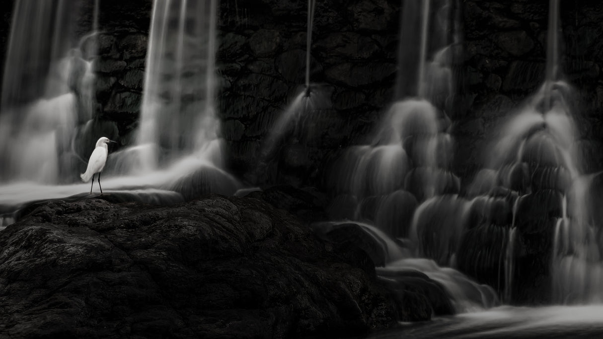 The spirit of the waterfall Poster och Canvastavla