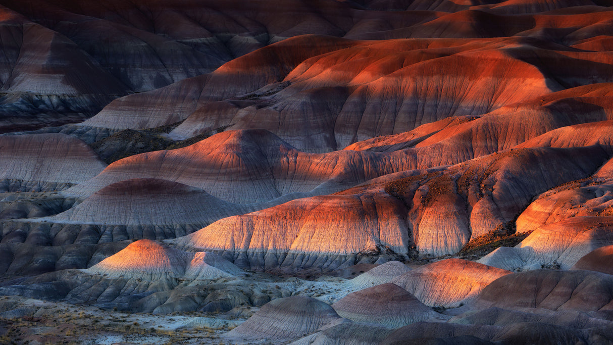 Painted Desert Poster och Canvastavla