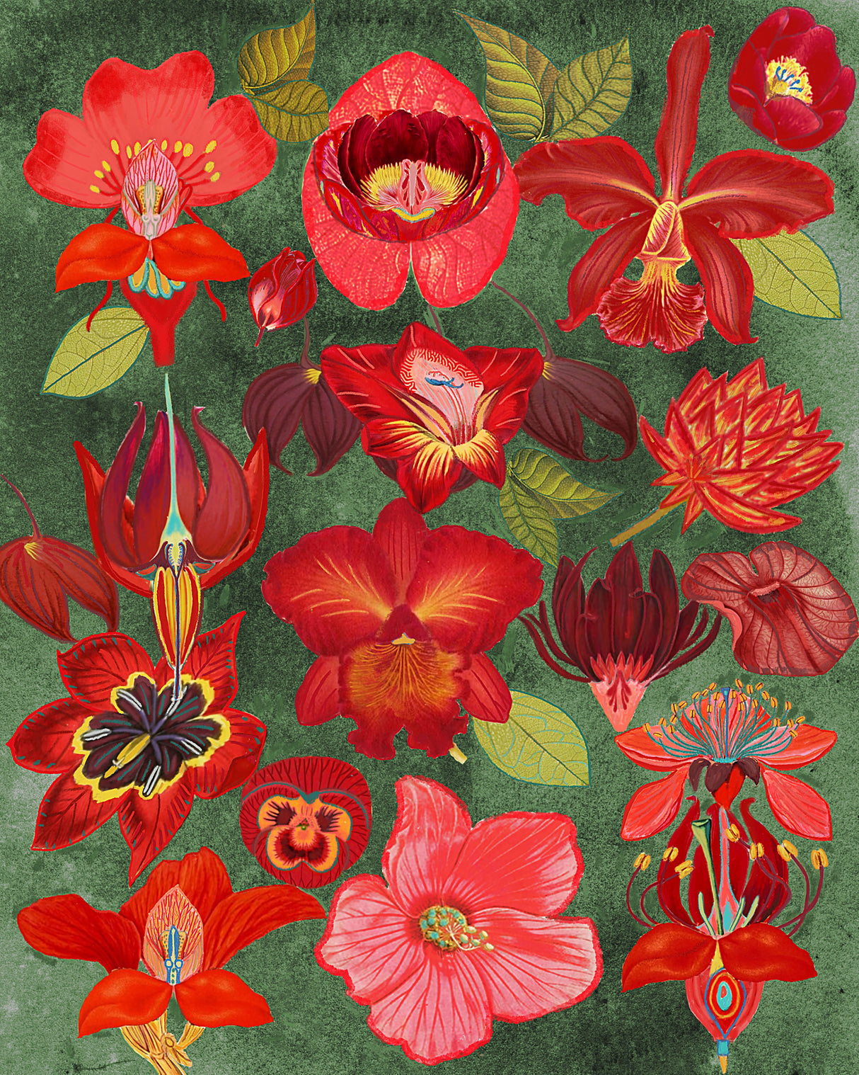 eclectic garden.png Poster och Canvastavla