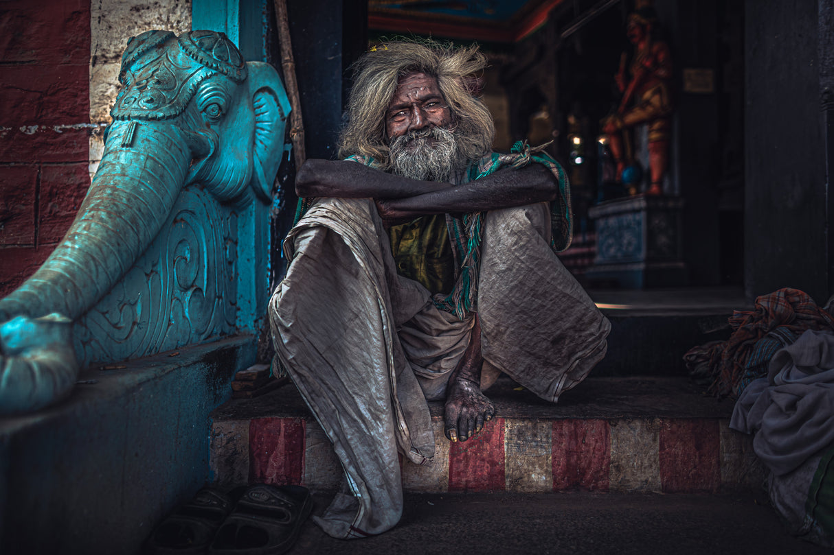 The Holy man and the elephant Poster och Canvastavla