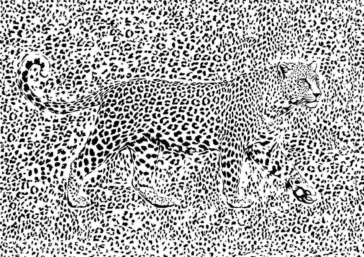 Leopard Rosette camouflage Poster och Canvastavla