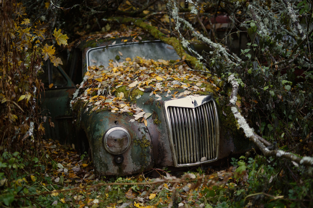 MG Magnette ZB Poster och Canvastavla
